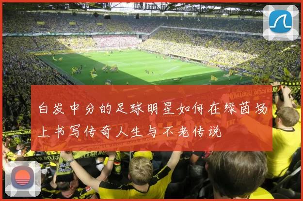 白发中分的足球明星如何在绿茵场上书写传奇人生与不老传说