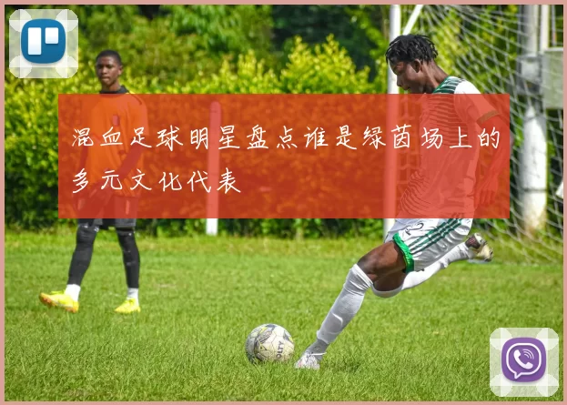 混血足球明星盘点谁是绿茵场上的多元文化代表