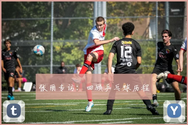 张丽专访：回顾乒乓球历程