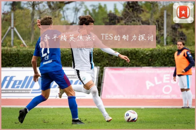 和平精英焦点：TES的耐力探讨