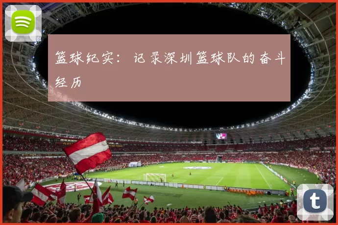 篮球纪实：记录深圳篮球队的奋斗经历