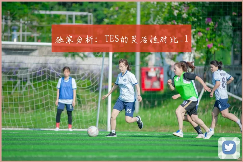 独家分析：TES的灵活性对比_1